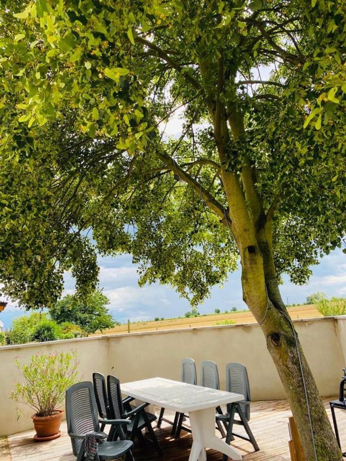 קינצהיים Gite Spa La Grange מראה חיצוני תמונה
